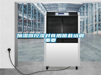 行业新闻加湿器控湿对食用菌栽培很重要