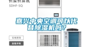 嘉兴中央空调可以代替除湿机吗？