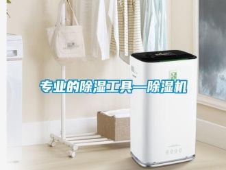 知识百科专业的除湿工具—除湿机