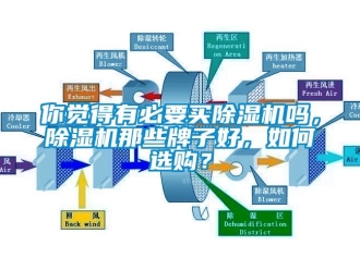 行业新闻你觉得有必要买除湿机吗，除湿机那些牌子好，如何选购？