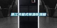 湛江可程式恒温恒湿箱