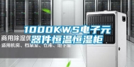 1000KWS电子元器件恒温恒湿柜
