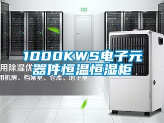 常见问题1000KWS电子元器件恒温恒湿柜