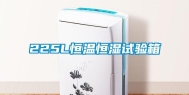 225L恒温恒湿试验箱