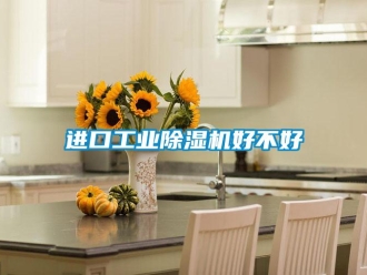 行业新闻进口工业除湿机好不好