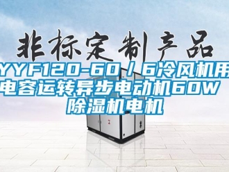 企业新闻YYF120-60／6冷风机用电容运转异步电动机60W 除湿机电机