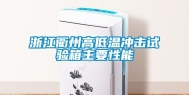 浙江衢州高低温冲击试验箱主要性能