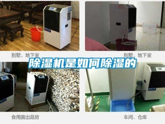 行业新闻除湿机是如何除湿的