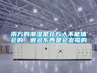 行业新闻南方的潮湿是北方人不能体会的，很多东西是会发霉的