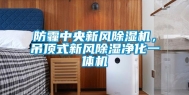 防霾中央新风除湿机，吊顶式新风除湿净化一体机