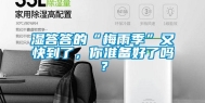 湿答答的“梅雨季”又快到了，你准备好了吗？