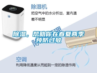 常见问题除湿，帮助你在春夏两季预防过敏