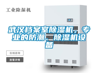 行业新闻武汉档案室除湿机，专业的防潮、除湿机设备