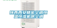 陕西西安精密空调恒温恒湿机房空调