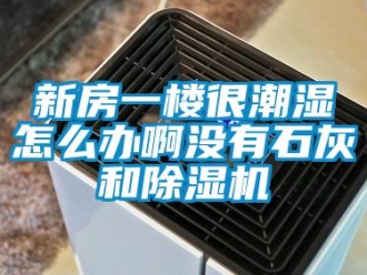 行业新闻新房一楼很潮湿怎么办啊没有石灰和除湿机