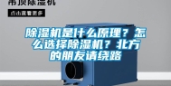 除湿机是什么原理？怎么选择除湿机？北方的朋友请绕路