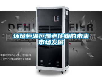 知识百科环境恒温恒湿老化箱的未来市场发展