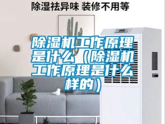 行业新闻除湿机工作原理是什么（除湿机工作原理是什么样的）