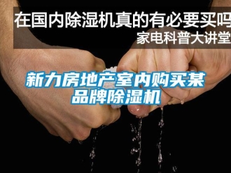 知识百科新力房地产室内购买某品牌除湿机