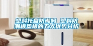 塑料托盘防潮吗 塑料防潮板垫板的五大优势分析