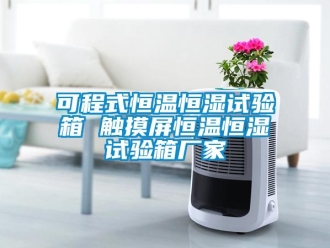 知识百科可程式恒温恒湿试验箱 触摸屏恒温恒湿试验箱厂家