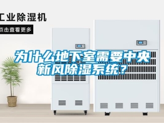 行业新闻为什么地下室需要中央新风除湿系统？