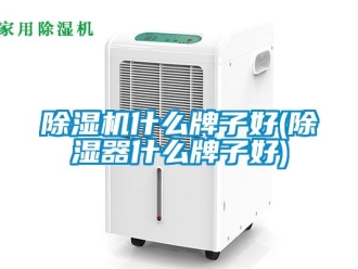 行业新闻除湿机什么牌子好(除湿器什么牌子好)