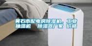 黄石市配电房除湿机，工业抽湿机  除湿器厂家 价格