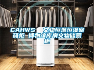 常见问题CAHWS  文物恒温恒湿密码柜 博物馆库房文物储藏柜
