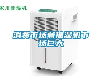 知识百科消费市场弱抽湿机市场巨大