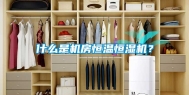 什么是机房恒温恒湿机？