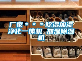 企业新闻厂家＊＊＊除湿加湿净化一体机 加湿除湿机