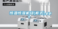 恒温恒湿机组(柜式).ppt