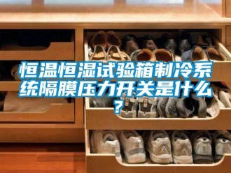 知识百科恒温恒湿试验箱制冷系统隔膜压力开关是什么？