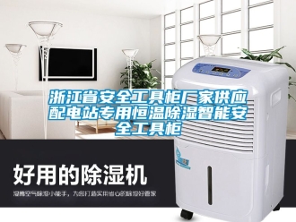 知识百科浙江省安全工具柜厂家供应配电站专用恒温除湿智能安全工具柜