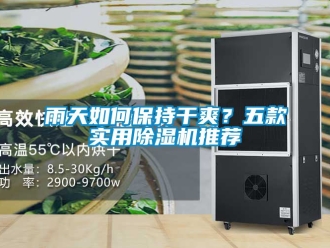 行业新闻雨天如何保持干爽？五款实用除湿机推荐