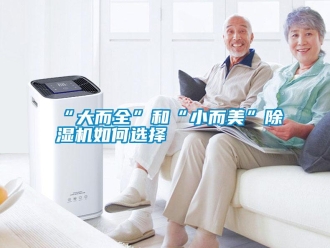 常见问题“大而全”和“小而美”除湿机如何选择
