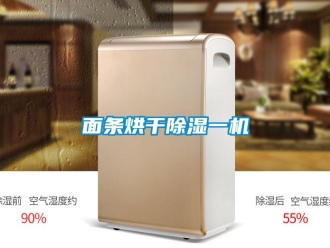 行业新闻面条烘干除湿一机