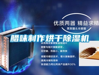 行业新闻腊味制作烘干除湿机