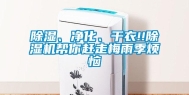除湿、净化、干衣!!除湿机帮你赶走梅雨季烦恼