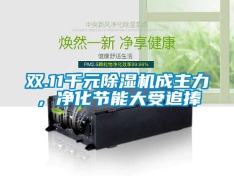 行业新闻双.11千元除湿机成主力，净化节能大受追捧