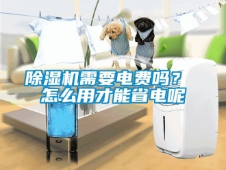 行业新闻除湿机需要电费吗？ 怎么用才能省电呢