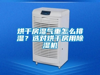 行业新闻烘干房湿气重怎么排湿？选对烘干房用除湿机