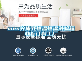 常见问题mes分体式恒温恒湿试验箱非标订制工厂
