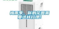 梅雨季，你的花园需要这样打理！