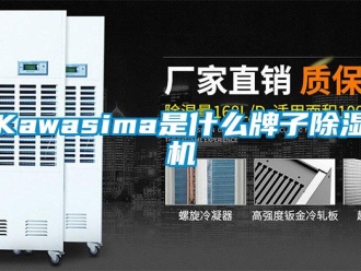 企业新闻Kawasima是什么牌子除湿机