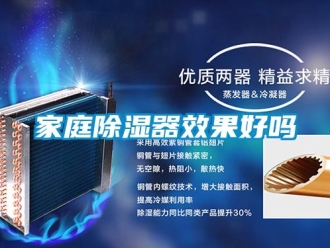 行业新闻家庭除湿器效果好吗