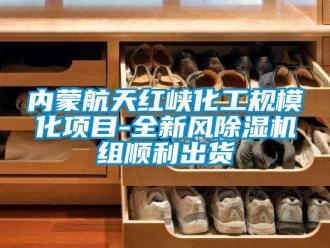 行业新闻内蒙航天红峡化工规模化项目-全新风除湿机组顺利出货