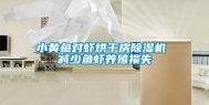 小黄鱼对虾烘干房除湿机 减少鱼虾养殖损失
