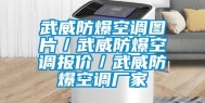 武威防爆空调图片／武威防爆空调报价／武威防爆空调厂家
